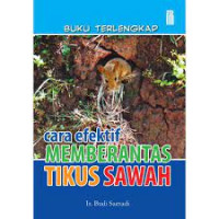 Cara efektif memberantas tikus sawah